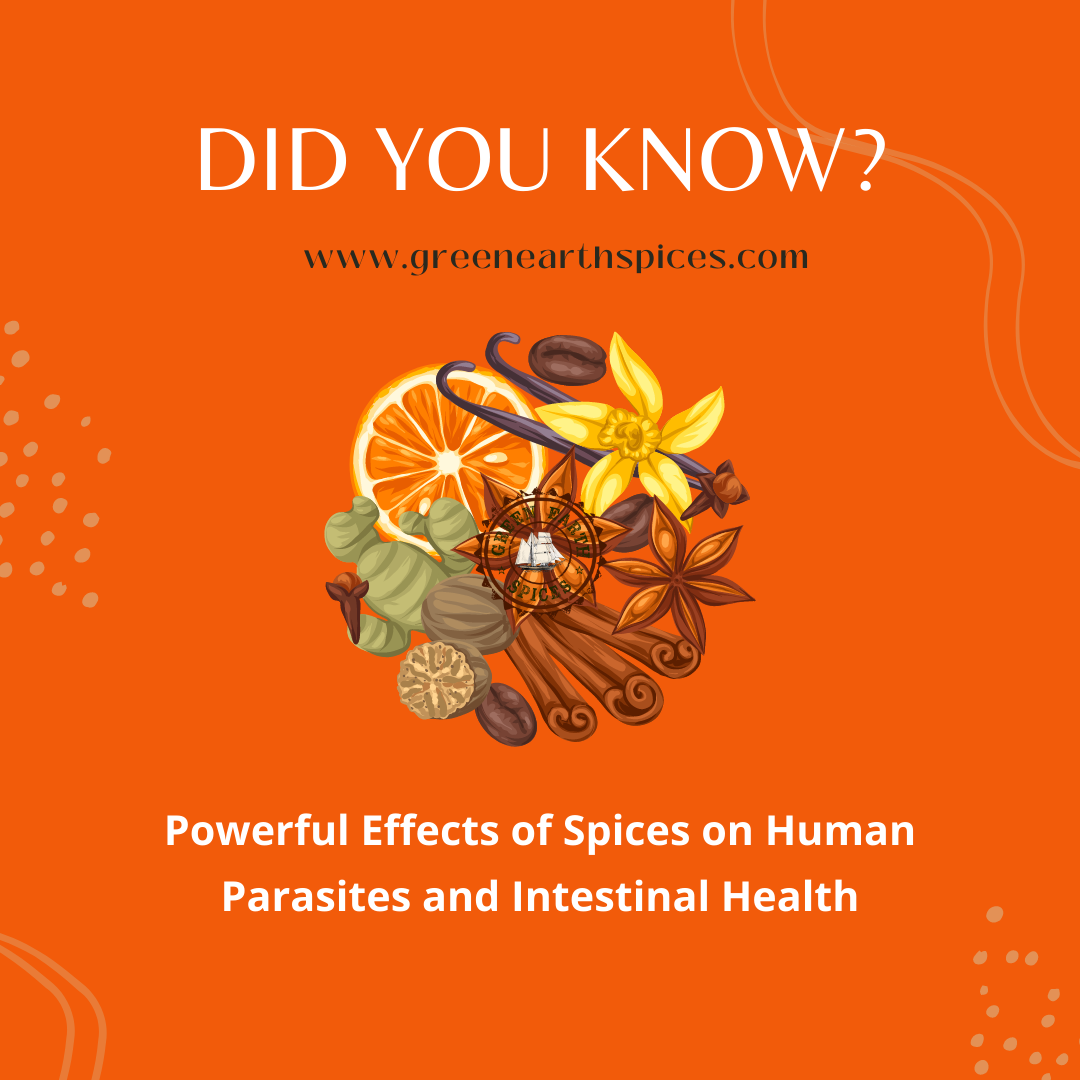 Unveiling the Powerful Effects of Spices on Human Parasites and Intestinal Health